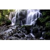 Premium Variable Neutral Density (ND2-ND1000) Filter Compatible with Sony Alpha