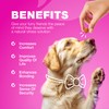 Dog UTI Treatment - Dog Cranberry Supplement for Bladder &