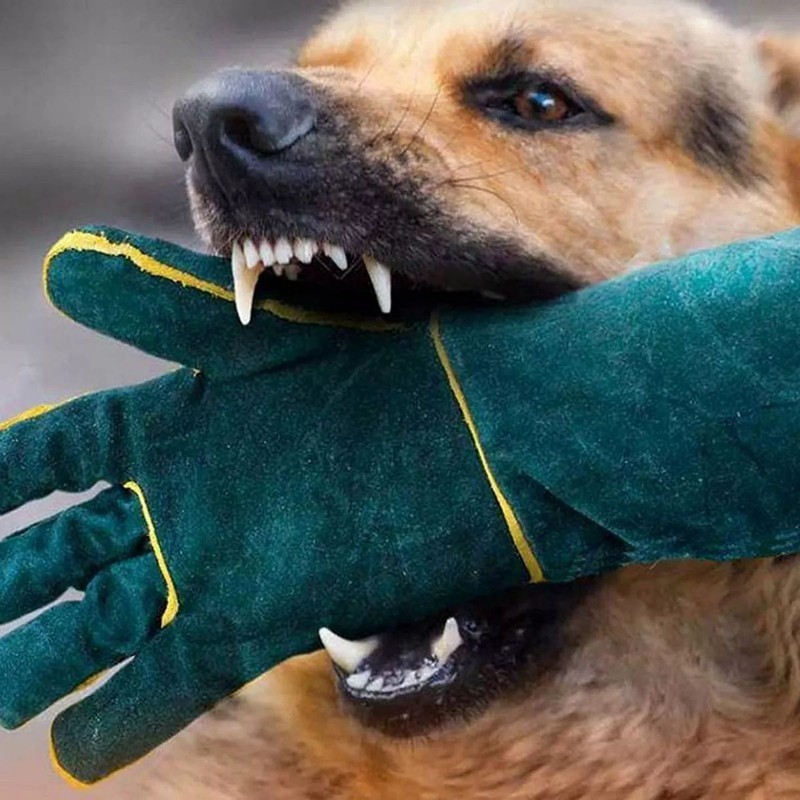 Bite Proof Pet Gloves Non Scratch for Handing Groming Electric