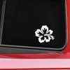 Hibiscus Flower Vinyl Decal Sticker for Cars Trucks Windows Bumpers