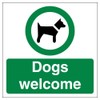 Vsafety Dogs Welcome - 150mm x 150mm - Window Sticker