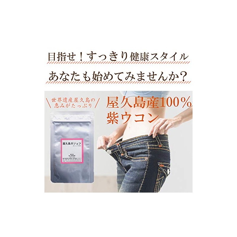 屋久島ガジュツ粒（100粒） [M便 1/3]