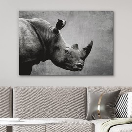 NWT Canvas Print Wall Art Rhinoceros Portrait on Graphite Background Animals Wilderness Photography Modern Art Rustic Closeup Relax/Calm Grey Duotone for Living Room, Bedroom, Office - 32"x48"