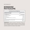 Berberina 1000mg Vitfinity Redefinimos Estándar Suplementación 10x Absorción Berbevis Phytosome