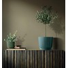 Tymar Flower Pot, Planter, Pack of 2, Plastic Flower Pot,