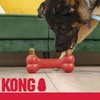 KONG Enhanced Ziggies Dog Treats 2 Pack – Enhanced Teeth