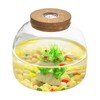 Glass Terrarium Jar with Cork Lid - 5.9 Inch Airtight