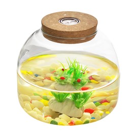 Glass Terrarium Jar with Cork Lid - 5.9 Inch Airtight Succulent Planter, Candy Cookie Storage, Hydroponic Vase for Plants Crafts, Home Office Decor (Round, Clear)