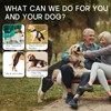 Dog Knee Brace for Back Leg, Adjustable Hip Support for
