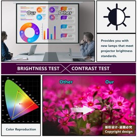 Replacement Projector Lamp Bulb with Housing for LMP-H280 Sony VPL-VW365ES VPL-VW520ES VPL-VW550ES VPL-VW665ES VPL-VW675ES VPL-VW55ES VPL-VW570ES VPL-VW695ES.