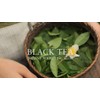 FRESH 100Ml Instant Perfecting Mask Black Tea