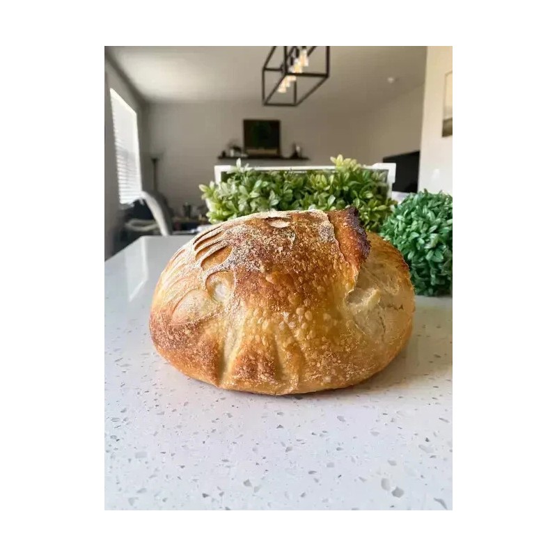 Heritage Sour Sourdough Starter Dehydrated Sour 200+ Yrs Old Oregon