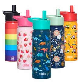 Wildkin Kids 18 oz Reusable BPA-Free Stainless Steel Water Bottle with Leak Proof Lid for Boys & Girls, Insulated, Durable, and Easy to Clean Water Bottles for Kids - Jurassic Dinosaurs