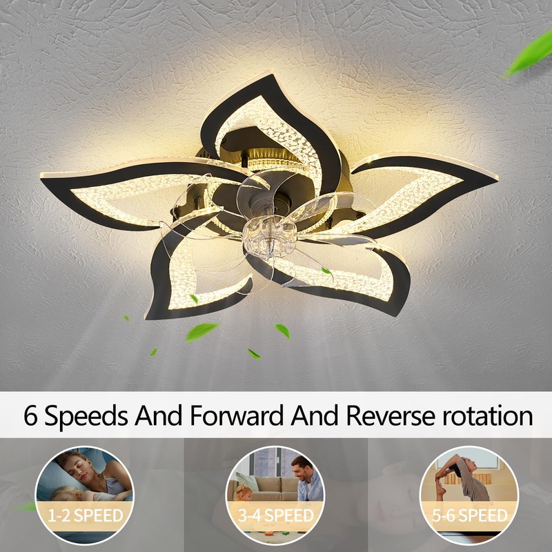 haodengshi 27" Black Geometric Ceiling Fan Lights with Remote, 6