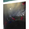Fish Culling Tag System for Bass and Walleye - Boat