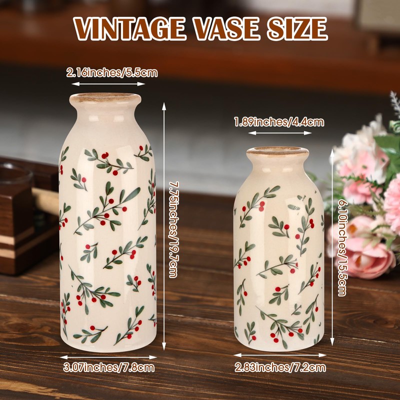 Ninehaoou 2 Pcs Ceramic Small Vase Rustic Farmhouse Vase Boho