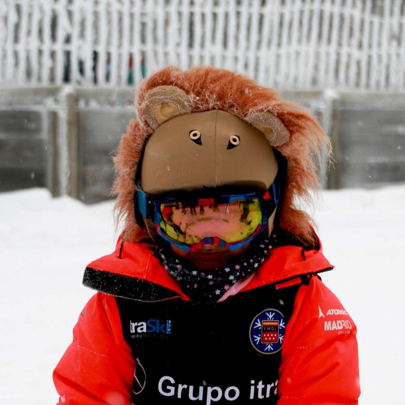 COOLCASC LION Multisport Helmet Cover