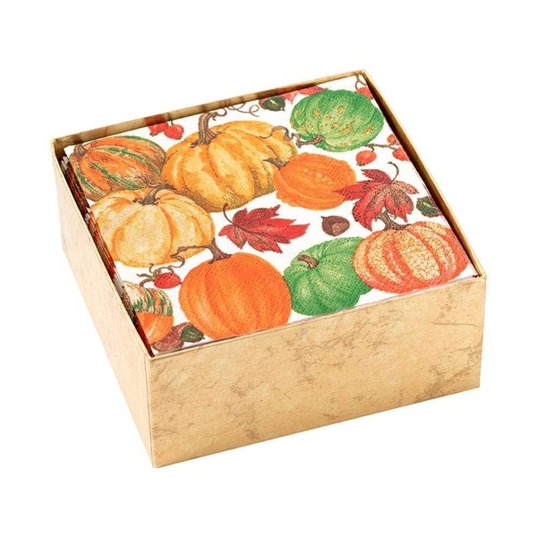 Caspari Pumpkin Field Boxed Paper Cocktail Napkins in White -