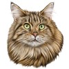 Animal Den Maine Coon Cat Decal Window Sticker