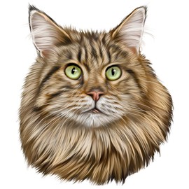 Animal Den Maine Coon Cat Decal Window Sticker