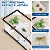 GOZILLA Turtle Tank Kit(Tank+Lamp+Filter), Upgrade PC Turtle Tank Starter Kit