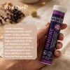 Higher Nature Immune Effervescent - Blackcurrant and Elderberry, 20 Tablets