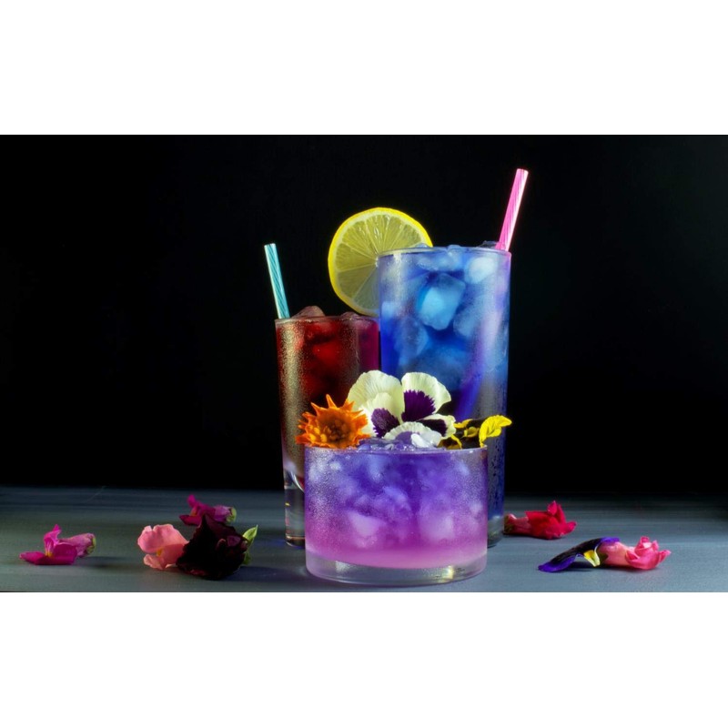 Wild Hibiscus Flower Extract Trio | 3 x 3.4 fl