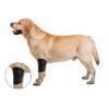 ZenPet Elbow Wrap for Dogs (Small)