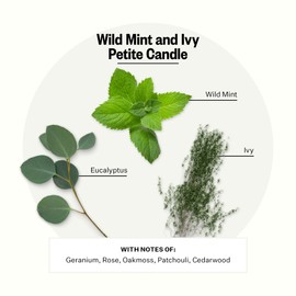 Apotheke Luxury Scented Candles for Home, Wild Mint & Ivy - Petite Aromatherapy Jar Candle with Soy Wax Blend