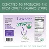 Joe's Syrup Organic Flavored Syrup, Organic Lavender, 750 ml, 25.4