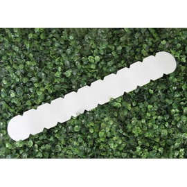 Padel Port Protector Transparente para Pala de Pádel, Diseño de Aleta, Rugoso