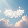 1 Pc White Mini Black and White Angel Feather Wings