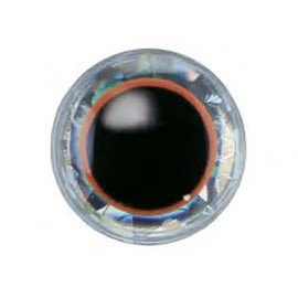 バスデイ(Bassday) ルアー修復・ハンドメイド用 立体目玉シール 3Dアイシール (EYE SEAL) シルバー (オレンジリング付) 10mm