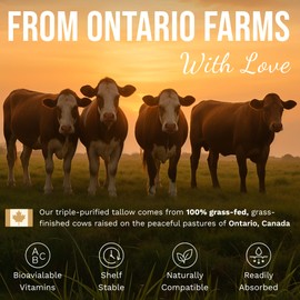 Grass-Fed Beef Tallow and Manuka Honey Balm, Eczema Face & Body Cream, Moisturizer for Dry Skin with Shea Butter, Almond & Jojoba Oil, Beeswax, Arrowroot, Vitamin E - Lemongrass - Made in Canada, 2 oz