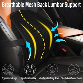 SANHSEHOME Lumbar Support Back Support for Office Chair 2 Pack Lumbar Support Pillow for Car Chair Back Support with Double Layer Breathable Mesh & Adjustable Straps