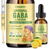 Liposomal GABA L-Theanine Children's Drops - Liquid Supplement with Magnesium Chamomile Lemon Balm and Vitamin B6 143024, 2 fl oz (1 pack), 60ml / Liposomal GABA L-테아닌 아동용 드롭 - 마그네슘 카모마일 레몬 밤 및 비타민 B6가 함유된 액체 보충제143024, 2액량 온스(1개입), 60ml