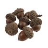 Trimits Natural Accessories, Acorns, 50 Pieces, 23x23x17mm B2231NAT