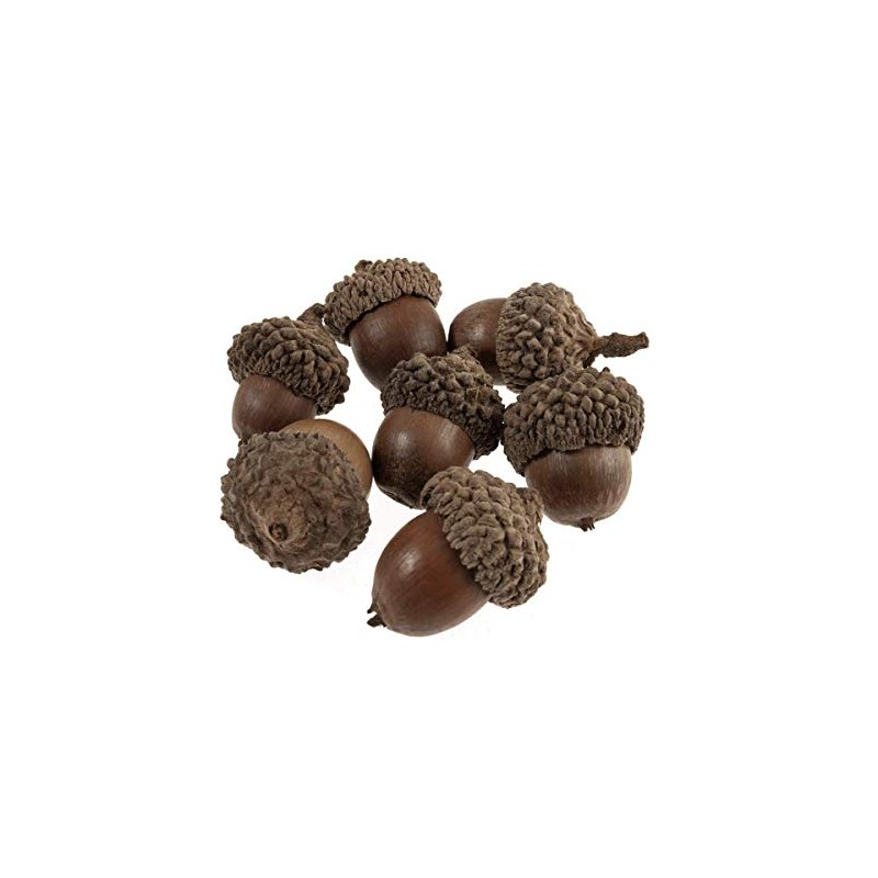 Trimits Natural Accessories, Acorns, 50 Pieces, 23x23x17mm B2231NAT