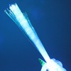The Glow Company Light Up Flashing Unicorn Fibre Optic Torch