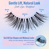 Eyelashes Natural Look False Lashes - Bepholan Fake Eyelashes 5D
