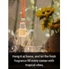 IKEDA Car Air Freshener, Multi- Scent, Hanging Bottle Design with