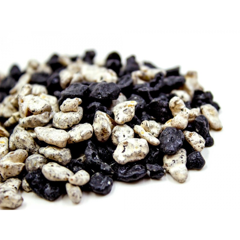 Frankincense different varieties.