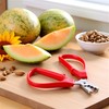 Red Melon Seed Cracker Plier,Sunflower Seeds Plier Opener - Seed