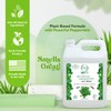 Minty Ant Killer - Natural 5% Peppermint Essential Oil Spray