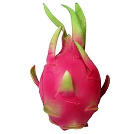 Pieza Artificial Realista Pitaya Falsa Modelo Fruta Dragón Decoración Hogar Tienda Cocina