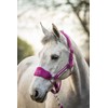 Equipride LUXURY FLEECE UNICORN HEADCOLLAR SET LEAD ROPE FULL-MINI SHETLAND