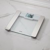 Taylor Digital Glass Body Composition Scale, Bathroom Scale for Weight,