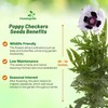 Outsidepride Papaver Orientale Poppy Seeds for Planting - 100 Pcs.