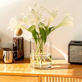 BLOFLO Clear Glass Vase, 9 Inch Large Glass Vase for Flowers, Modern Thick Glass Flower Vases for Centerpieces, Decorative Glass Cylinder Hydroponic Vase for Wedding, Home, Office (Clear, 9Inch)