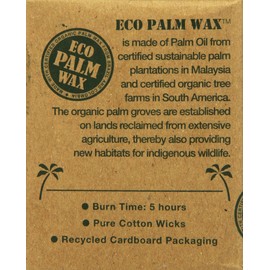 Aloha Bay Palm Wax Tea Lights with Aluminum Holder Cream Candles, 12 Count